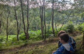 Children participating in forest activities at Out in the Sticks Forest School